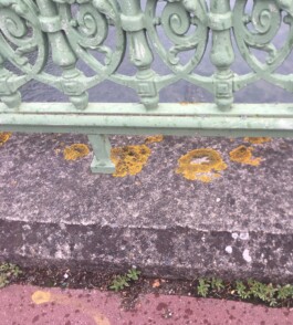 khaled kurbeh • muhawalāt — محاولات